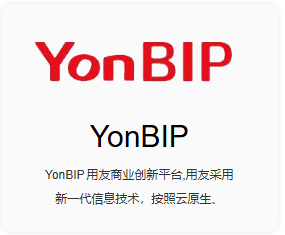 用友YonBIP